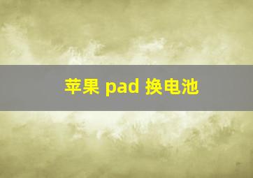 苹果 pad 换电池